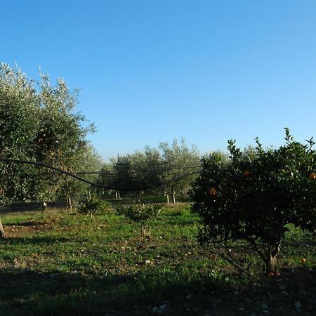 Agriturismo - B&B "La Funicolare" Francavilla Marittima Extérieur photo